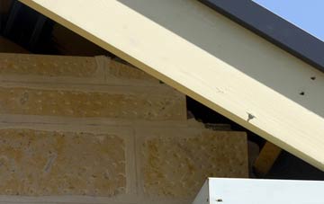 soffit repair Shotley Gate